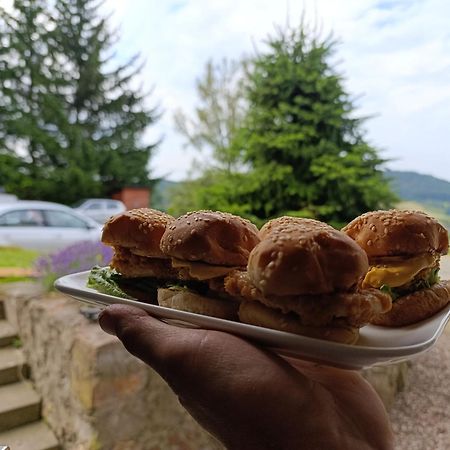 Sowi Gosciniec Wellness & Breakfast Διαμέρισμα Sokolec Εξωτερικό φωτογραφία