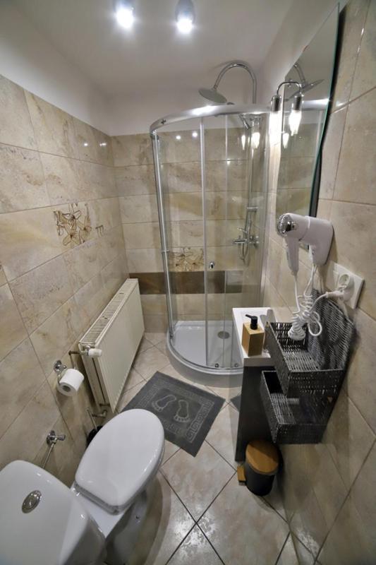 Sowi Gosciniec Wellness & Breakfast Διαμέρισμα Sokolec Εξωτερικό φωτογραφία